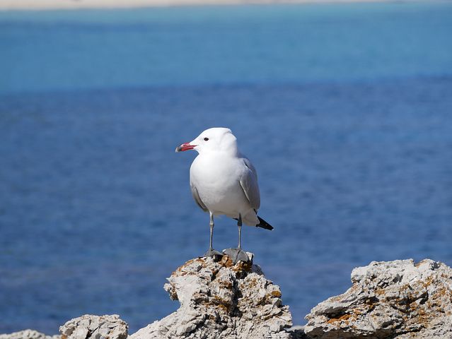 Photo séjour